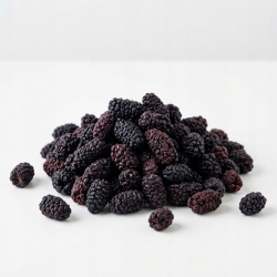 Morwa czarna liofilizowany owoc 1 Kg