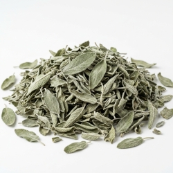 Szałwia Liść 100g