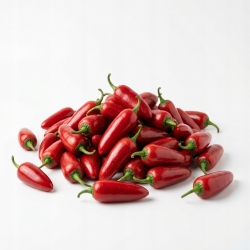 papryka Jalapeno Czerwona 1 Kg