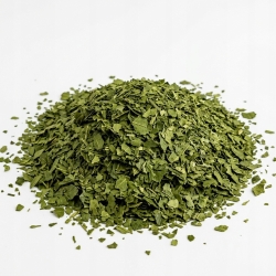 Herbata Mate Green Mango 1kg