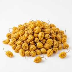 Habanero Żółte 1 Kg