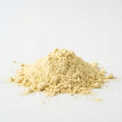 Ananas proszek 100 g