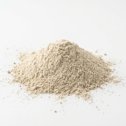Dyptam korzeń 100 G