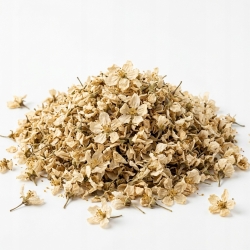 Kwiat Jabłoni 1 Kg