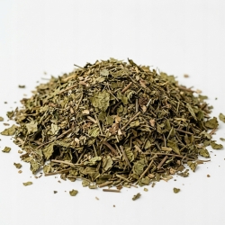 Gotu Cola Wąkrota Azjatycka Centella Asiatica 1 Kg