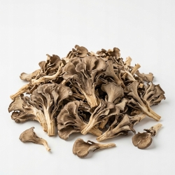 Grzyby Maitake 1 Kg