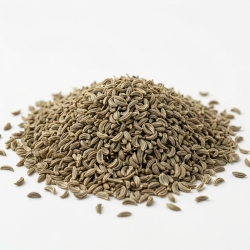 Pietruszka Nasiona 1kg