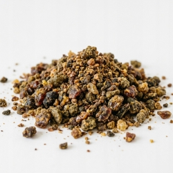 Propolis Pszczeli 100 G