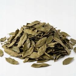 Graviola Cały Liść 1 Kg