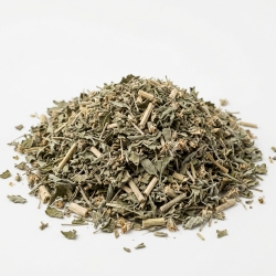 Boneset Ziele Sadziec Perfoliatum 100 G