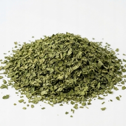 kolendra Liście 1 Kg