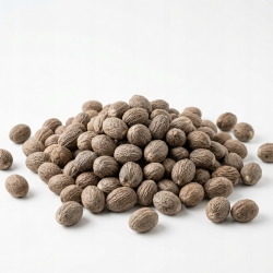gałka muszkatołowa Cała 15 G