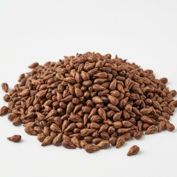 Winogrono Nasiona 100 G