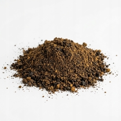 Huba Brzozowa Czarna Chaga Mielone 100 G