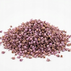 Wrzos Kwiat Gatunek Pierwszy 1 Kg