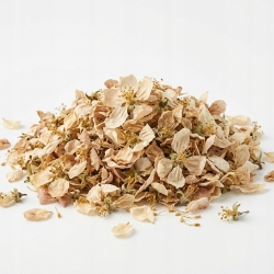 Kwiat Jabłoni 100g