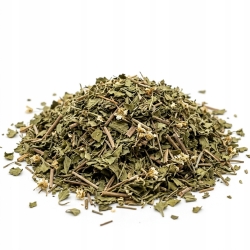 Skalnica Ziarenkowata Ziele Saxifraga Granulata 1 Kg