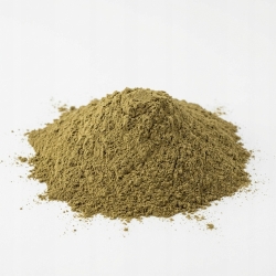 Algi Brunatne Ascophyllum Nodosum MIELONE NA PYŁ 1 Kg