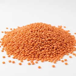 Soczewica Czerwona Mąka 1 Kg