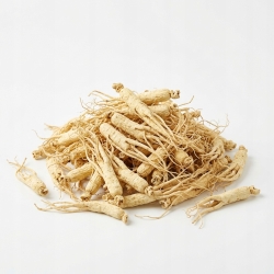 Żeń-szeń biały Panax Ginseng 1 Kg