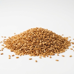 Sezam Prażony 1 Kg