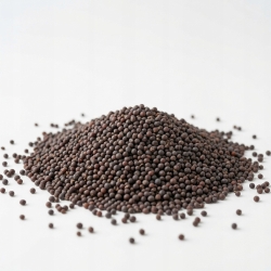 gorczyca Czarna 500 G