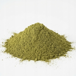 Miodla Indyjska Neem Azadirachta Indica Mielone Na Pył 100 G