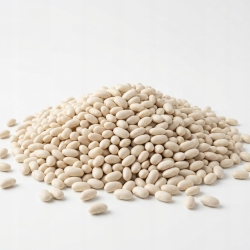 Fasola Biała Drobna 1 Kg