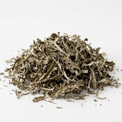 Porost Islandzki 100g