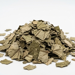 Liść Lotosu 1 Kg