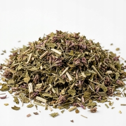 Sadziec Purpurowy Ziele Cięte 50 G