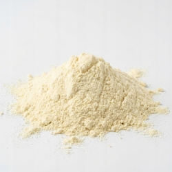 Serwatka w proszku 100 g