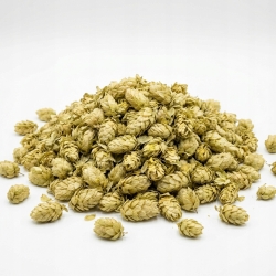 Szyszki Chmielu 1kg