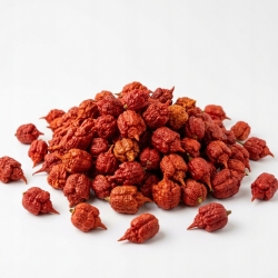 papryka Trynidad Scorpion 500 g