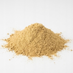 ekstrakt chryzantema kwiat 1 kg
