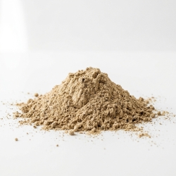 Borowik Suszony Proszek 100 G