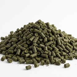 Pokrzywa Granulowana Na Polskim Rynku 1 Kg