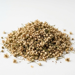 Kwiaty Głogu 100g