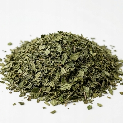 Mięta Pińczowska 100 g