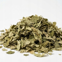 Lipa Liście 100 G
