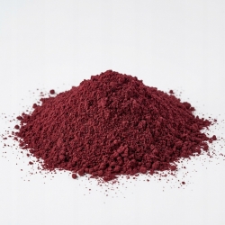 Granat Owoc Koncentrat Suszony 100 G