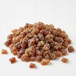 Gugul Indian Shuddha Żywica 100 G