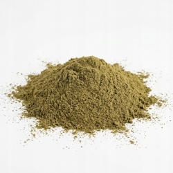 Miłorząb Liść Sproszkowany Ginko 100 G
