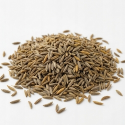 Kmin Rzymski 1 Kg