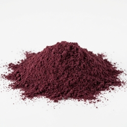 Czarna Porzeczka (mielona) 50g