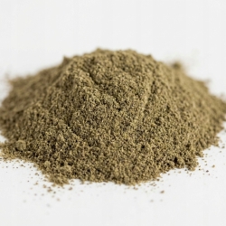 Seler Ziarno Mielony 1kg