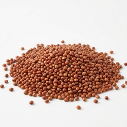 Sorgo Czerwone 1 Kg