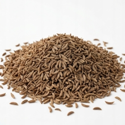 Owoc Kminku 1kg