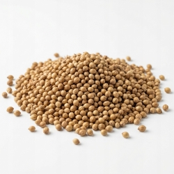kolendra Cała 500 G