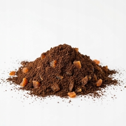 Kawa Arabika Mielona o smaku Morela 1kg